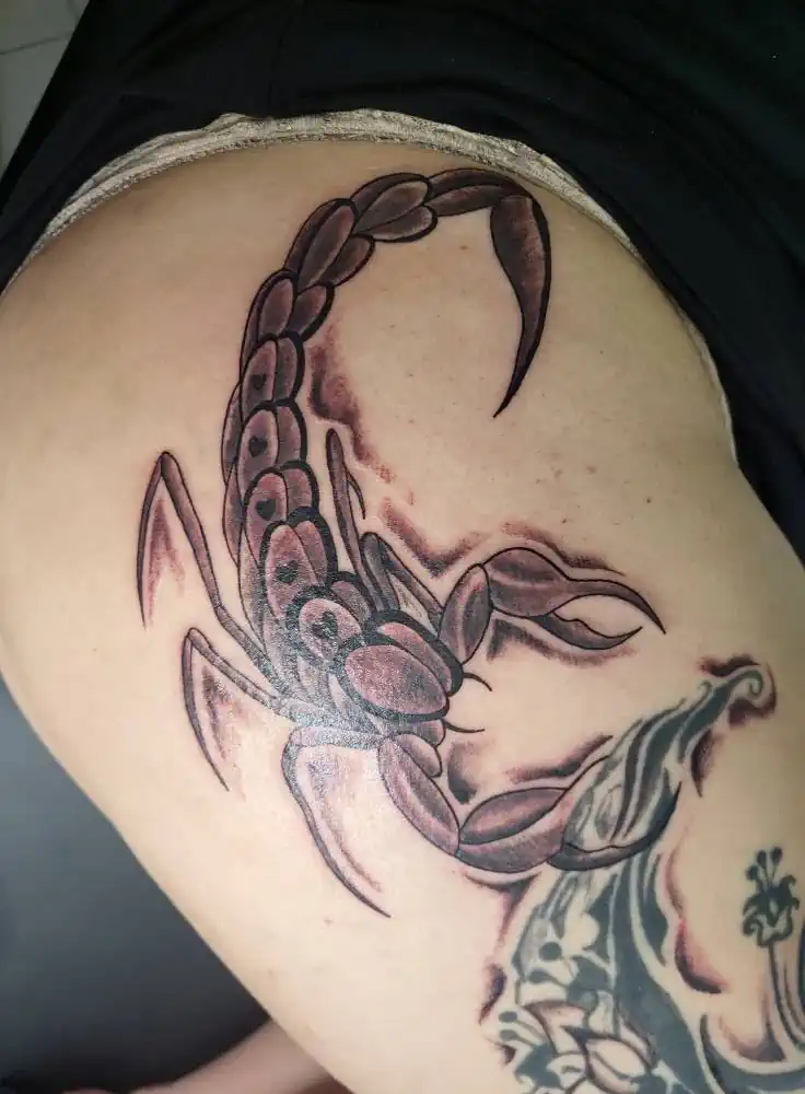 Escorpion Rojo